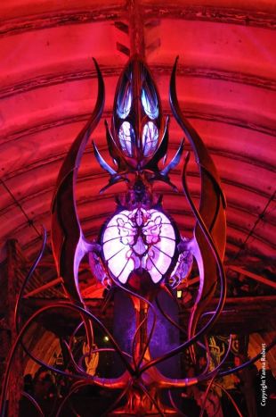 ©Yanna Robert Freqs of nature.jpg